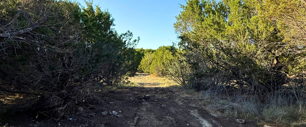 Ranch